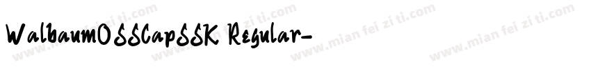 WalbaumOSSCapSSK Regular字体转换